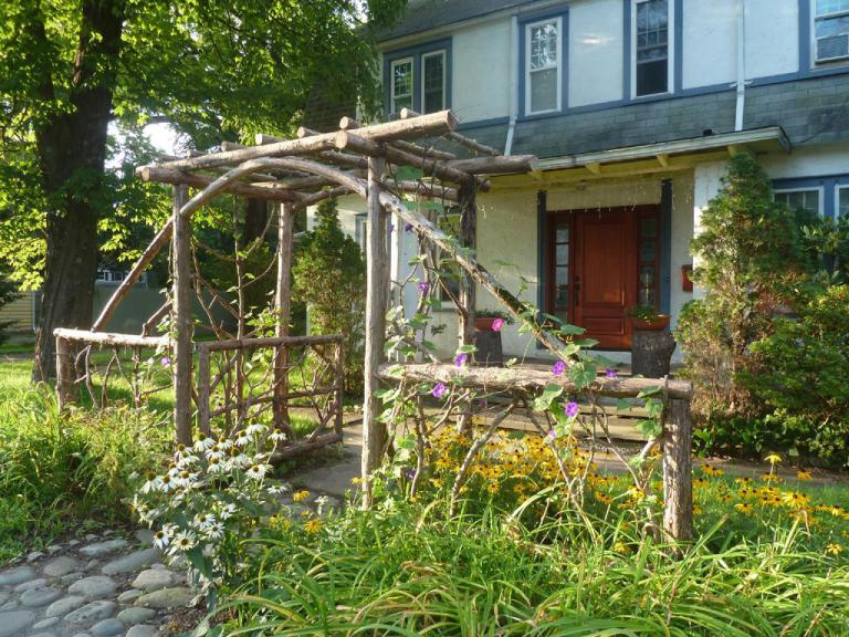 Morning Glory Woodstock