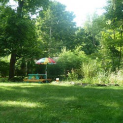 Morning Glory Woodstock